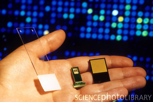 DNA microchip (Chíp siêu nhỏ giám định ADN)