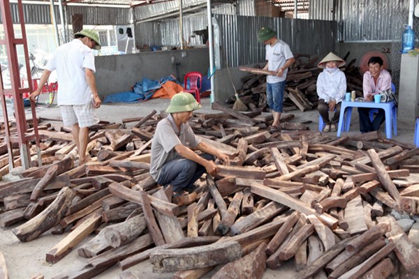 Nhiều hoạt động kinh doanh tại chợ gỗ Phù Khê Thượng đã bị băng nhóm xã hội đen do Minh “sâm”, Hưng “sóc” thao túng.