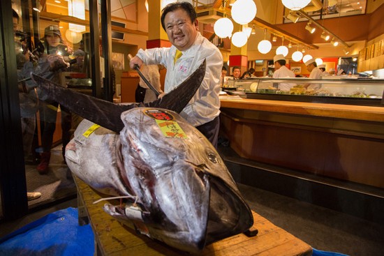 Con cá ngừ này có giá 1 triệu bảng Anh được mua ngay tại thủ đô Tokyo, Nhật Bản