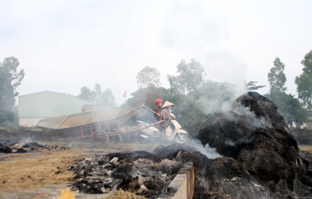 Đốt rơm rạ gây nhiều khói bụi ô nhiễm nông thôn