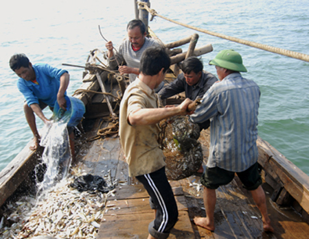 Nam giới thường làm công việc nguy hiểm như đánh cá, thợ mỏ... Nam giới thường làm công việc nguy hiểm như đánh cá, thợ mỏ...