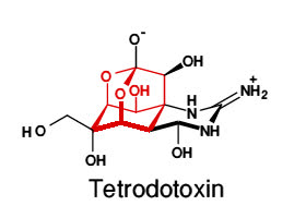 Công thức hóa học chất độc Tetrodotoxin