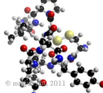 Oxytocine hormone của lòng chung thủy