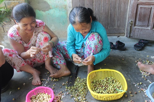 Các phụ huynh cũng tranh thủ giúp đỡ các em bóc sen.