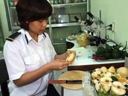 Cơ quan bảo vệ thực vật lấy mẫu kiểm tra chất bảo quản trong hoa quả. Ảnh: Phúc Hậu