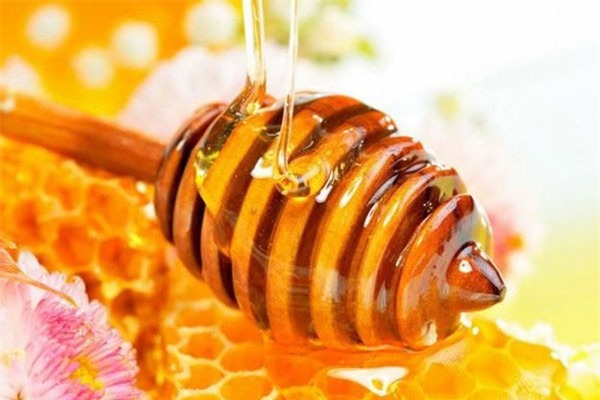 Mật ong chứa nhiều chất bổ dưỡng thiên nhiên tốt cho sức khỏe