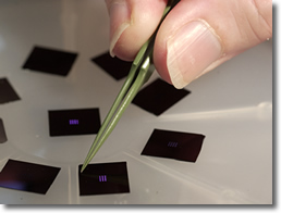 Con chíp sinh học điện tử nano giúp phát hiện bệnh chỉ trong vài phút