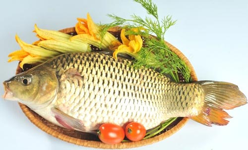 Não cá chép nấu cháo là món ăn rất tốt cho người cao tuổi bị ù tai, điếc tai.