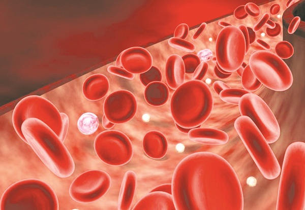 Sắt trong huyết sắc tố sẽ kết hợp với oxy ở phổi tạo thành oxyhaemoglobin (tạo màu đỏ của máu)