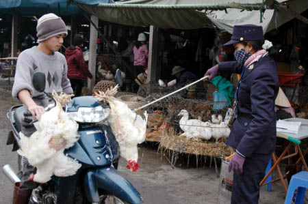Phun thuốc tiêu trùng khử độc cho gia cầm để phòng dịch cúm. Ảnh: TM