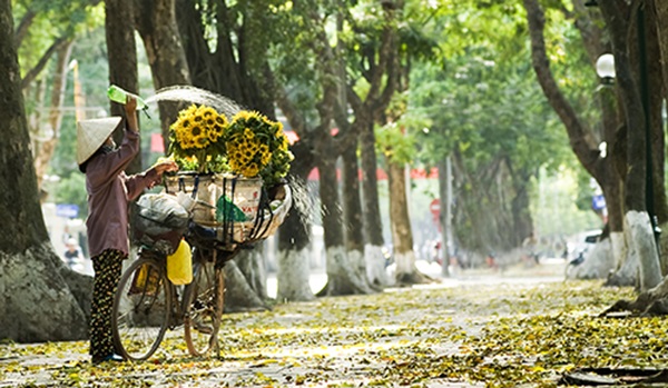 Sớm mùa thu.