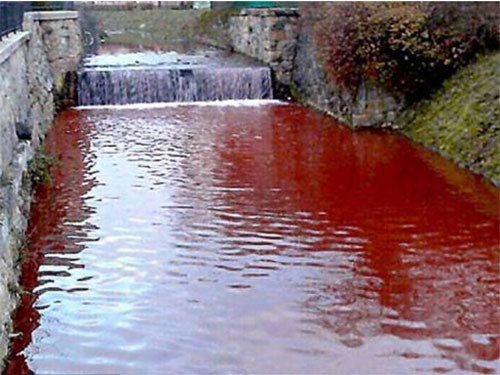 Màu nước sông biến đổi kỳ lạ chỉ sau 1 đêm
