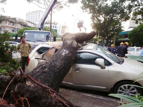 Lái xe này chỉ mất tiền sửa xe mà may mắn thoát chết vì không ở trong xe.