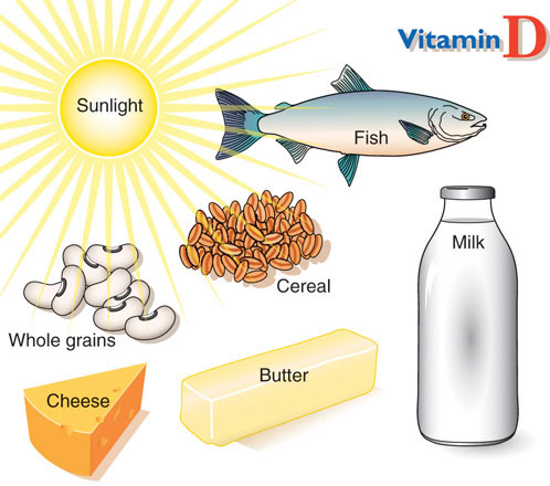 Cơ thể tự tổng hợp vitamin D từ ánh nắng mặt trời. Ngoài ra, vitamin D có nhiều trong dầu cá, pho mát, ngũ cốc nguyên hạt, sữa.