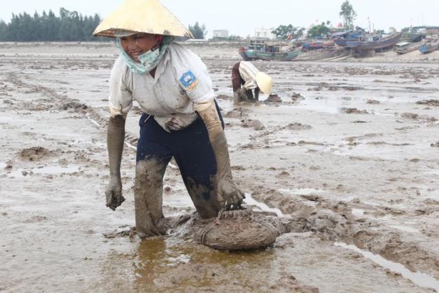 Nghề săn cá còi cũng là nghề vô cùng vất vả