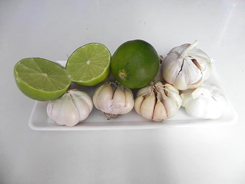 Tỏi, chanh... giúp tăng cường sức đề kháng của hệ miễn dịch, giảm nguy cơ mắc ung thư Ảnh: THẢO NGHI Tỏi, chanh... giúp tăng cường sức đề kháng của hệ miễn dịch, giảm nguy cơ mắc ung thư Ảnh: THẢO NGHI