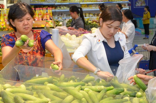 Trái cây, rau cải, đậu, bánh mì và ngũ cốc nằm trong nhóm thực phẩm nên ăn thường xuyên Ảnh: TẤN THẠNH