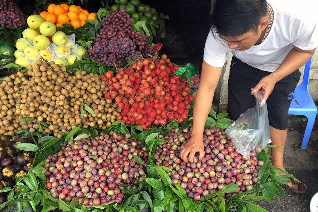 Thực phẩm chức năng, thịt heo, thịt lợn, siêu nạc, hóa chất, trà chanh, đội lốt, hàng Tàu, giá vàng, ô tô, miễn thuế, chanh tươi, đồ chơi, thực-phẩm-chức-năng, thịt-heo, thịt-lợn, siêu-nạc, hóa-chất, trà-chanh, đội-lốt, hàng-Tàu, giá-vàng, ô-tô, miễn-thuế