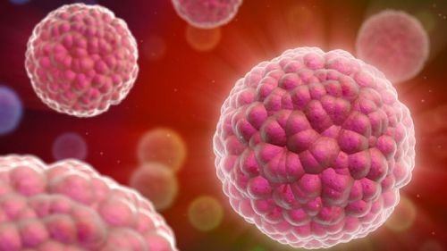 Chuỗi DNA kích hoạt cơ chế tạo protein SEAP giúp chẩn đoán ung thư nhờ xét nghiệm máu. Ảnh: Foxnews.