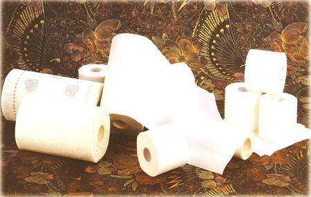 Dùng giấy vệ sinh lau miệng gây hại cho sức khoẻ.