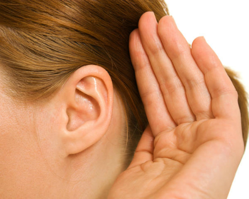 Head-ear-jpeg-9715-1432293093.jpg
