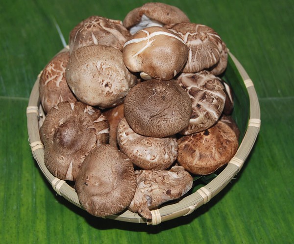 rau quả có lợi 1 rau quả có lợi 1