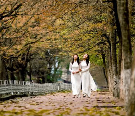 Lên lịch cho chuyến khám phá Việt Nam trong 12 tháng
