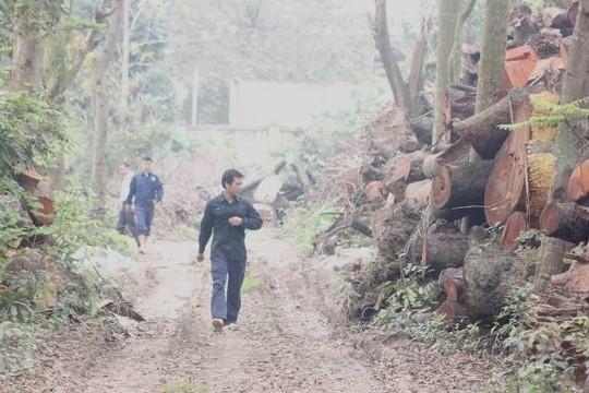 Bảo vệ liên tục xua đuổi khi phát hiện phóng viên