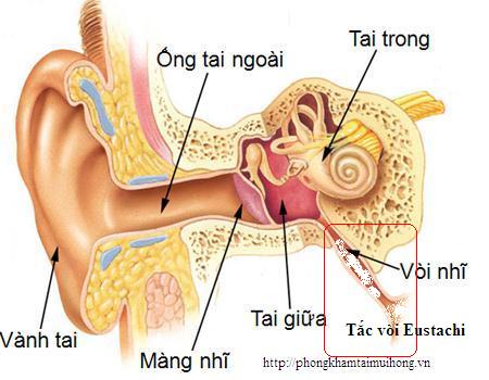 4. Phương pháp chẩn đoán Viêm Vòi Eustache