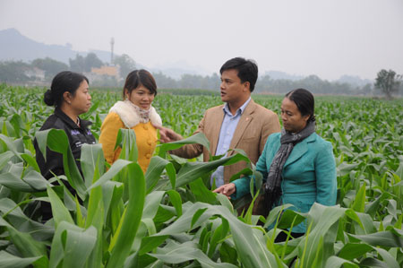 Tân Trào, Sơn Dương, Tuyên Quang, chủ tịch xã, Nguyễn Văn Hòa Tân Trào, Sơn Dương, Tuyên Quang, chủ tịch xã, Nguyễn Văn Hòa
