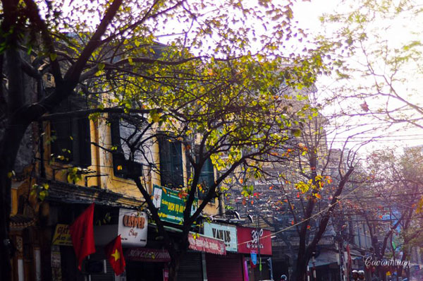 hanoi5-4812-1438708133.jpg