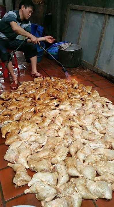 Hàng trăm chiếc đùi gà được xếp trên nền gạch ướt nhoe nhoét