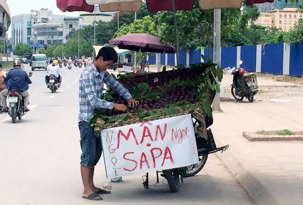 Nhãn lồng, mận tím, rau quả, Trung Quốc, Hà thành, hóa chất, Trung Quốc, na Thái, biên lai, nước đá, lạp xưởng, đội lốt, nhãn-lồng, mận-tím, rau-quả, Trung-Quốc, Hà-thành, hóa-chất, Trung-Quốc, na-Thái, biên-lai, nước-đá, lạp-xưởng, đội-lốt