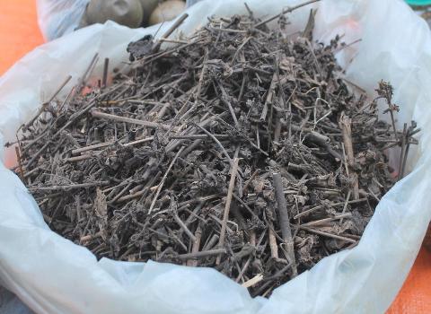Nhân trần khô Nhân trần khô