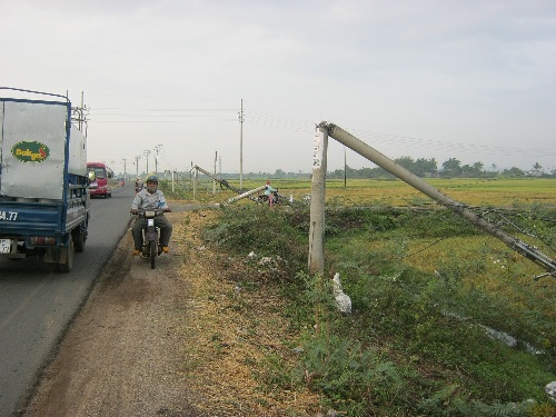 Hàng loạt trụ điện bị gió quật đổ