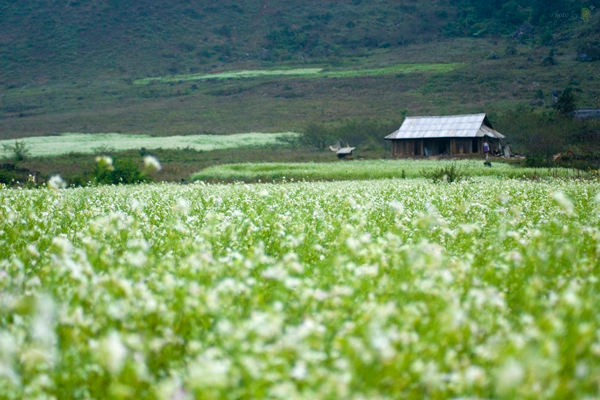 Lên lịch cho chuyến khám phá Việt Nam trong 12 tháng