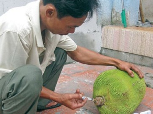 trái cây, thúc chín, hóa chất