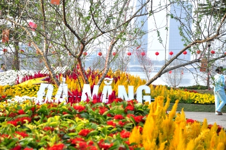 “Bản đồ Việt Nam bằng hoa lớn nhất” được thực hiện trên diện tích 378,1 m2 bên bờ Đông sông Hàn