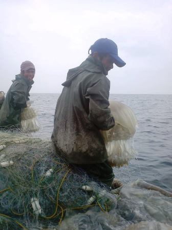 Nhọc nhằn mưu sinh không kể nắng mưa