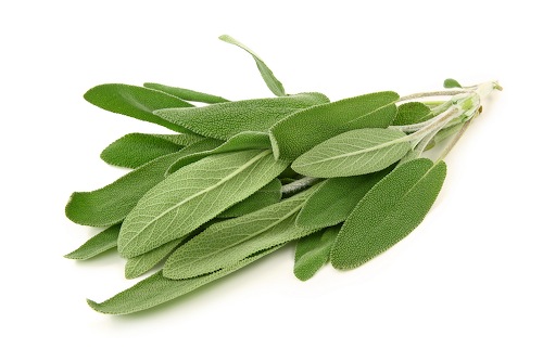 thảo mộc 5 thảo mộc 5