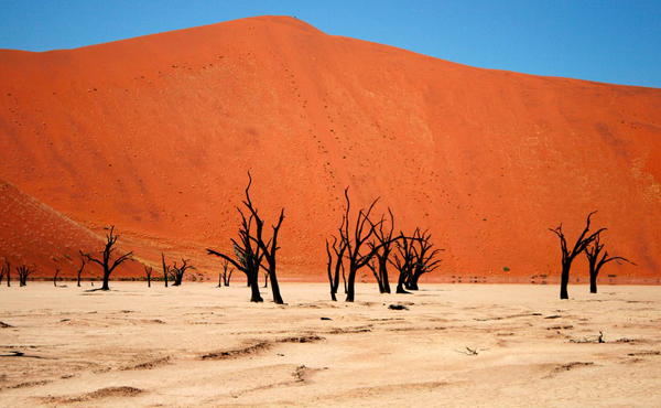 Leo lên các đụn cát khổng lồ ở sa mạc Namib (Sossusvlei, Namibia) và phóng mắt nhìn xuống, bạn sẽ có cảm giác mình đang đứng trên đỉnh thế giới.