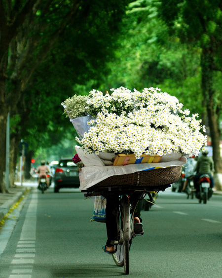 hanoi13-8482-1438708134.jpg