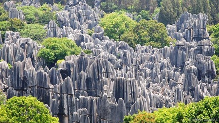 Cánh rừng đá ở Trung Quốc:
