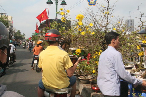 đường hoa, bến Bình Đông, quận 8, TPHCM