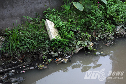 Rùng mình với cảnh muỗi bao vây nhà dân giữa lòng Hà Nội