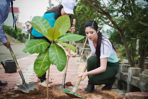 Ngọc Hân trồng cây vì môi trường, nhưng các đồng nghiệp của cô có nhiều ý tưởng sáng tạo hơn