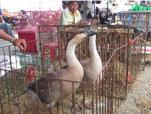 Quá đẹp đôi ! Quá đẹp đôi !