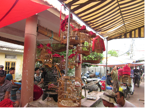 Một góc khu bán chim Một góc khu bán chim
