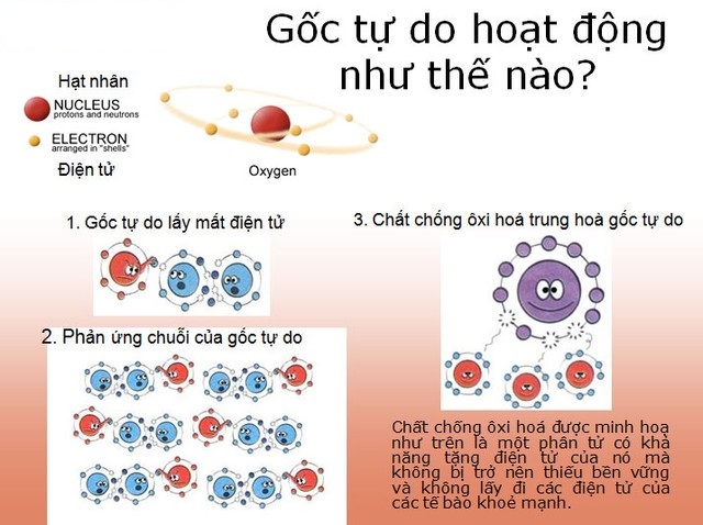 Electron tự do là gì? Tìm hiểu chi tiết và ứng dụng trong đời sống