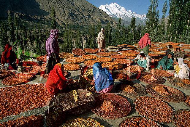 Một số thực phẩm của người Hunza (Pakistan)